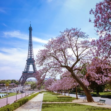 AMA Waterways River Cruise, Seine, Eiffel Tower, Paris, France
