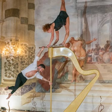 Performance originale all’arpa creata da Art & Elegance di Ada Ossola per eventi esclusivi.