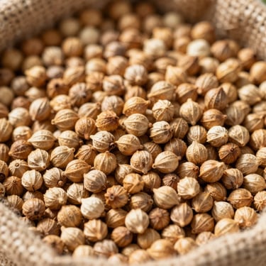 Whole coriander seeds in a burlap sack, detailed close-up of golden-brown husks under natural sunlight.
