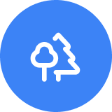 tree icon in northampton ma