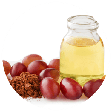 Traubenschalenextrakt aus Vitis vinifera – natürliche Quelle antioxidativer Pflanzenstoffe
