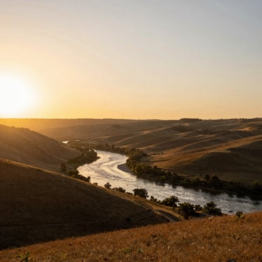 A collection of shiny gummy bear resin figures arranged on a bright pastel background.