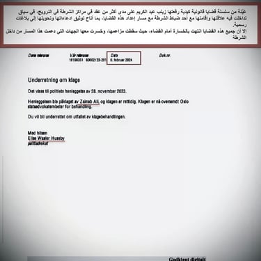  Zainab Abdulkarim Ali, Art ، زينب عبد الكريم، الفن التشكيلي العراقي، العراق، النرويج، اوسلو،  وثائق دعاوي كيدية