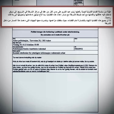  Zainab Abdulkarim Ali, Art ، زينب عبد الكريم، الفن التشكيلي العراقي، العراق، النرويج، اوسلو،  وثائق دعاوي كيدية