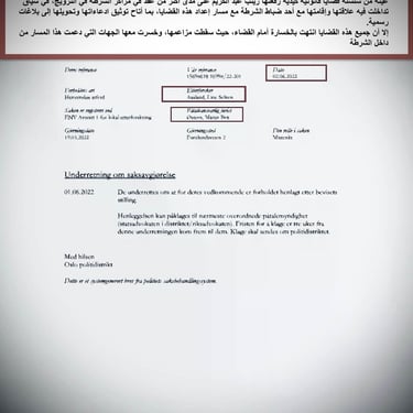  Zainab Abdulkarim Ali, Art ، زينب عبد الكريم، الفن التشكيلي العراقي، العراق، النرويج، اوسلو،  وثائق دعاوي كيدية