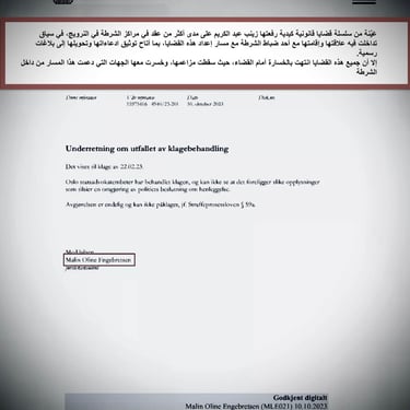  Zainab Abdulkarim Ali, Art ، زينب عبد الكريم، الفن التشكيلي العراقي، العراق، النرويج، اوسلو،  وثائق دعاوي كيدية