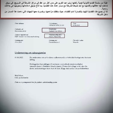  Zainab Abdulkarim Ali, Art ، زينب عبد الكريم، الفن التشكيلي العراقي، العراق، النرويج، اوسلو،  وثائق دعاوي كيدية