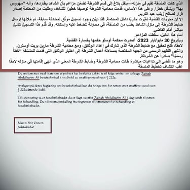  Zainab Abdulkarim Ali, Art ، زينب عبد الكريم، الفن التشكيلي العراقي، العراق، النرويج، اوسلو،  وثائق دعاوي كيدية