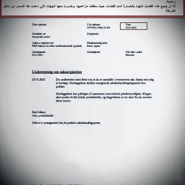  Zainab Abdulkarim Ali, Art ، زينب عبد الكريم، الفن التشكيلي العراقي، العراق، النرويج، اوسلو،  وثائق دعاوي كيدية