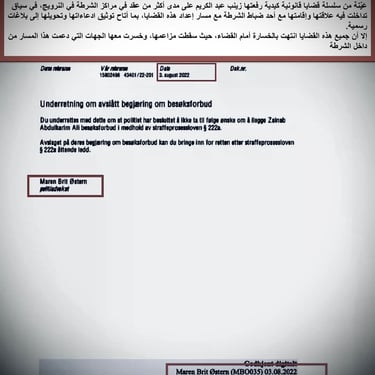  Zainab Abdulkarim Ali, Art ، زينب عبد الكريم، الفن التشكيلي العراقي، العراق، النرويج، اوسلو،  وثائق دعاوي كيدية