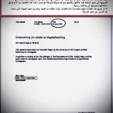  Zainab Abdulkarim Ali, Art ، زينب عبد الكريم، الفن التشكيلي العراقي، العراق، النرويج، اوسلو،  وثائق دعاوي كيدية