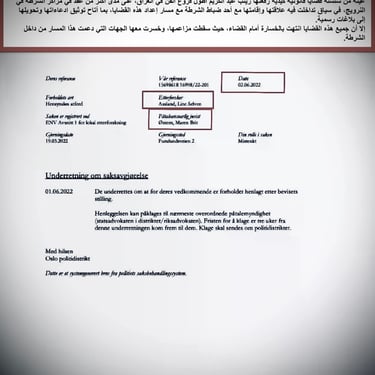  Zainab Abdulkarim Ali, Art ، زينب عبد الكريم، الفن التشكيلي العراقي، العراق، النرويج، اوسلو،  وثائق دعاوي كيدية