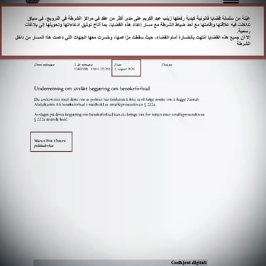  Zainab Abdulkarim Ali, Art ، زينب عبد الكريم، الفن التشكيلي العراقي، العراق، النرويج، اوسلو،  وثائق دعاوي كيدية