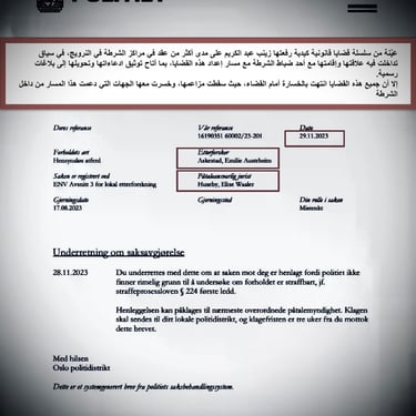  Zainab Abdulkarim Ali, Art ، زينب عبد الكريم، الفن التشكيلي العراقي، العراق، النرويج، اوسلو،  وثائق دعاوي كيدية