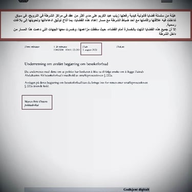  Zainab Abdulkarim Ali, Art ، زينب عبد الكريم، الفن التشكيلي العراقي، العراق، النرويج، اوسلو،  وثائق دعاوي كيدية