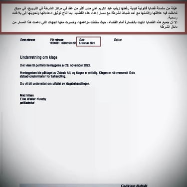  Zainab Abdulkarim Ali, Art ، زينب عبد الكريم، الفن التشكيلي العراقي، العراق، النرويج، اوسلو،  وثائق دعاوي كيدية