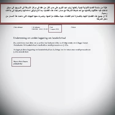  Zainab Abdulkarim Ali, Art ، زينب عبد الكريم، الفن التشكيلي العراقي، العراق، النرويج، اوسلو،  وثائق دعاوي كيدية