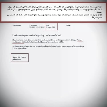  Zainab Abdulkarim Ali, Art ، زينب عبد الكريم، الفن التشكيلي العراقي، العراق، النرويج، اوسلو،  وثائق دعاوي كيدية