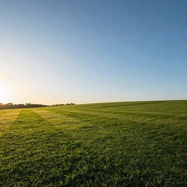Golden-hour landscape shot of pristine land boundaries, manicured green lawns, clear blue sky