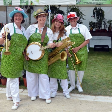 Orchestre foire aricole, salon de printemps et fêtes de jardins