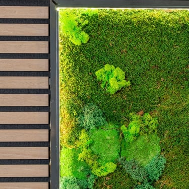 a mossel planter with mossel and mossel