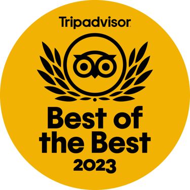 Tripadvisor Best Seller 2023 Yalah Travel Morocco