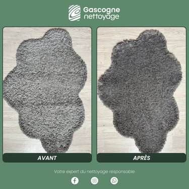 Nettoyage de tapis Bordeaux | Nettoyage professionnel à domicile | Gascogne Nettoyage