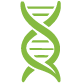 DNA icon for functional medicine nutrition protocols at Bloom Chiropractic Dearborn.