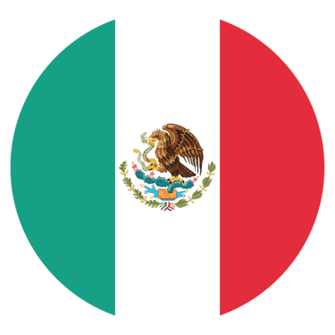 mexico llc