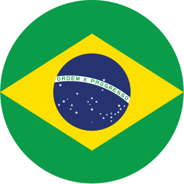 brasil llc