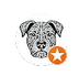 old packhouse market kerikeri 5 star review