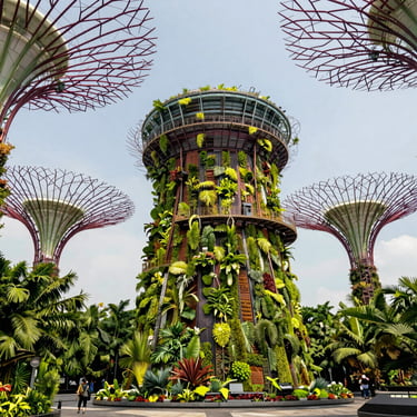 Futuristic Supertree Grove in Singapore under bright daylight, lush green vertical gardens, clean sky.
