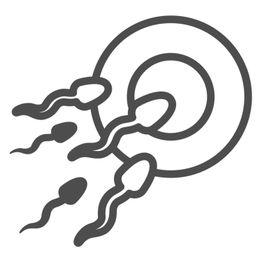 Fertilidade Masculina e Feminina