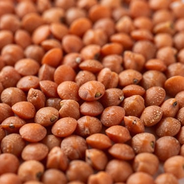 Extreme macro shot of a heap of red lentils and chickpeas, natural high-contrast lighting, sharp texture of raw pulses
