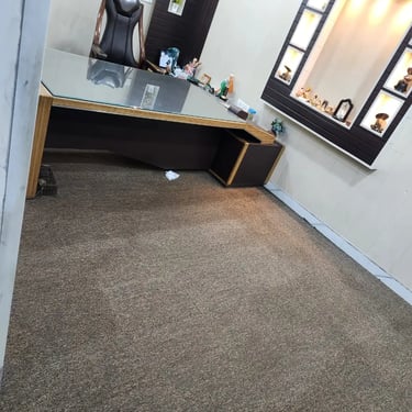 Expert Carpet Cleaning Solution NCR