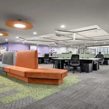 Professional Carpet Shampoo Delhi NCR