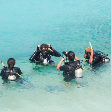 ohana-divers-marsa-alam-beginner-scuba-diving