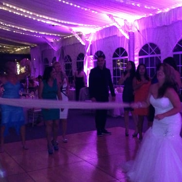 Chicagoland Wedding DJ