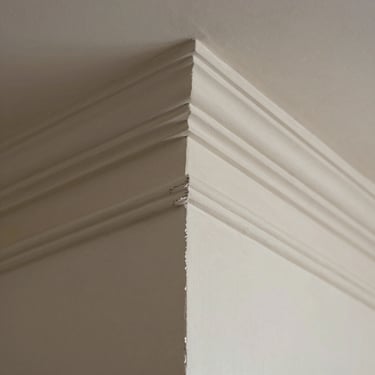 A tight, abstract detail shot of a plaster wall corner, showing a razor-sharp paint line against historic crown molding under soft daylight.