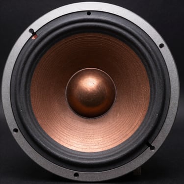 Macro close-up of a 15-inch woofer paper cone and double-rolled suspension, high-contrast copper-toned industrial lighting, dark background