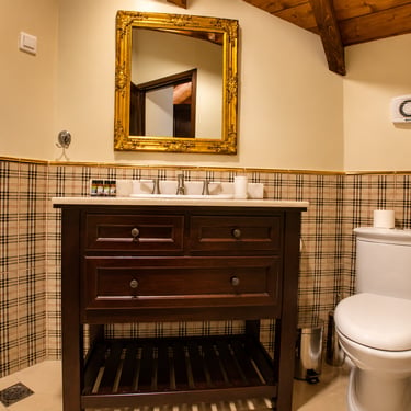 bathroom decorated with neoclassical style
