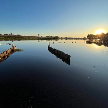 Rampa náutica Área externa, piscina e rio do Rancho do Neneco - Rancho para alugar em Miguelópolis SP