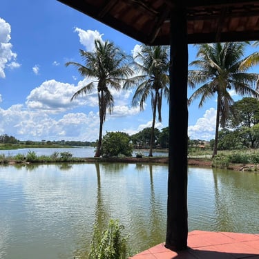 Quiosque pesqueiro do Rancho do Neneco - Rancho para alugar em Miguelópolis SP