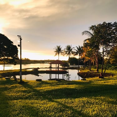pesque e solte do Rancho do Neneco - Rancho para alugar em Miguelópolis SP