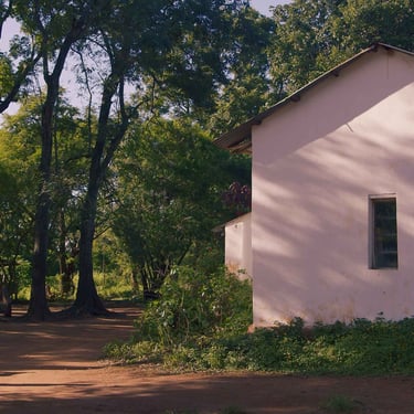 Farmer walking with dogs in the yard beside his home in The Farm We Call Home film.