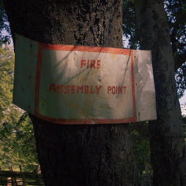 Fire assembly point sign on a tree in a rural farm setting in The Farm We Call Home film.