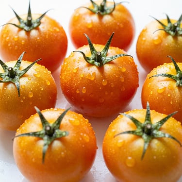 Fresh organic vine tomatoes on a clean white surface, glistening with morning dew under bright natural sunlight