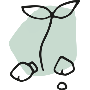 Ingrédients purs l'Oursin Blanc