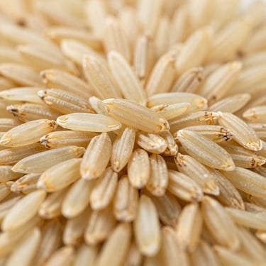 Macro high-definition shot of golden parboiled Basmati grains, uniform texture, dry and clean, clinical lighting.