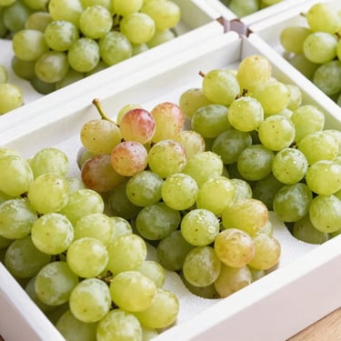 Crisp green and red seedless table grapes arranged in export-grade packaging, high-key commercial lighting, sharp focus